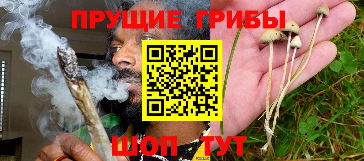 Псилоцибиновые грибы прущие грибы  Вход с VPN  Богородск 