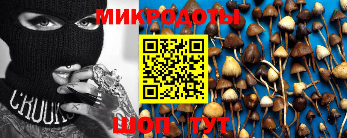 Псилоцибиновые грибы GOLDEN TEACHER Богородск
